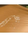 Ultra-Light Outdoor Waterproof Camping Tarp
